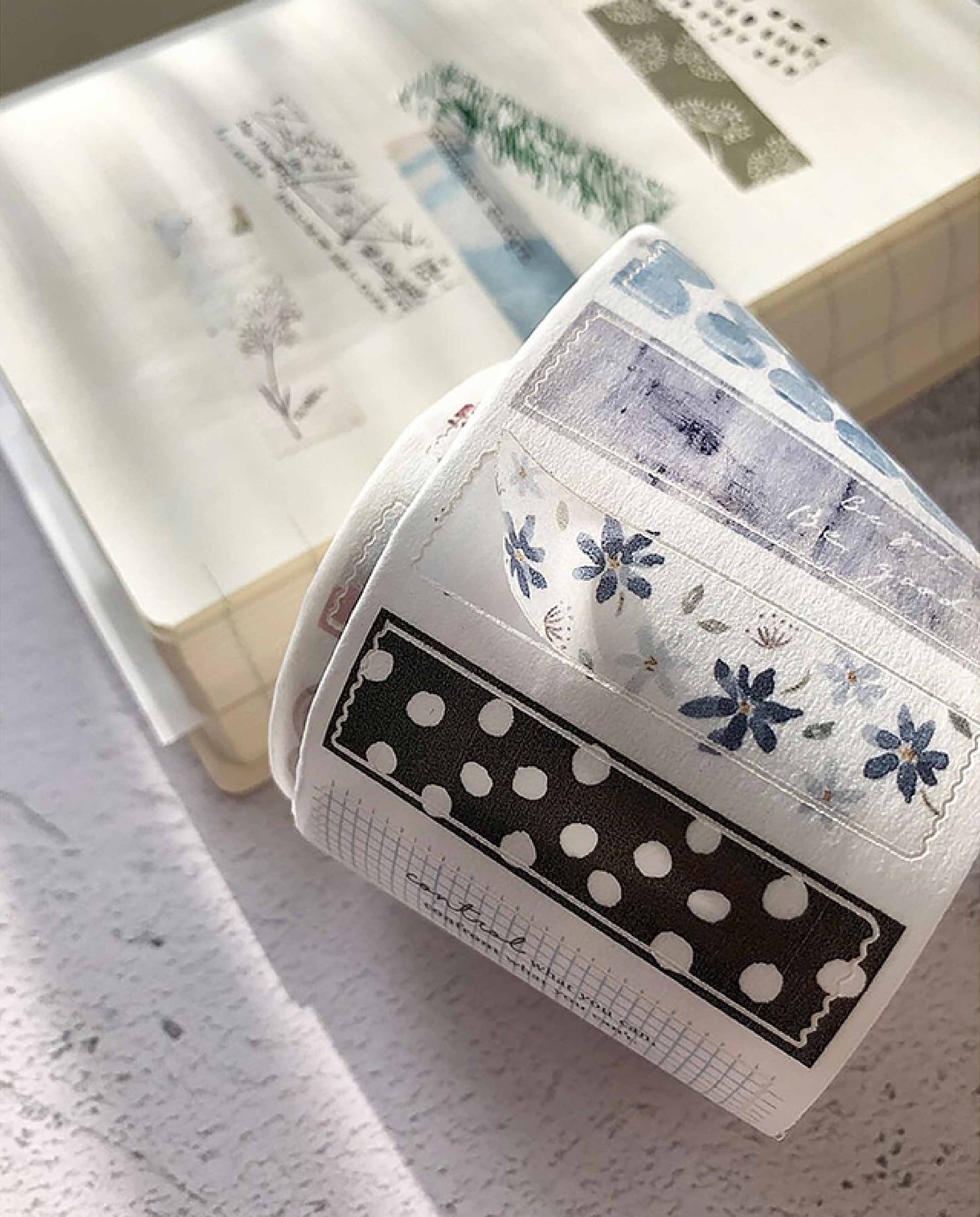 Pion Washi Tape: Strips