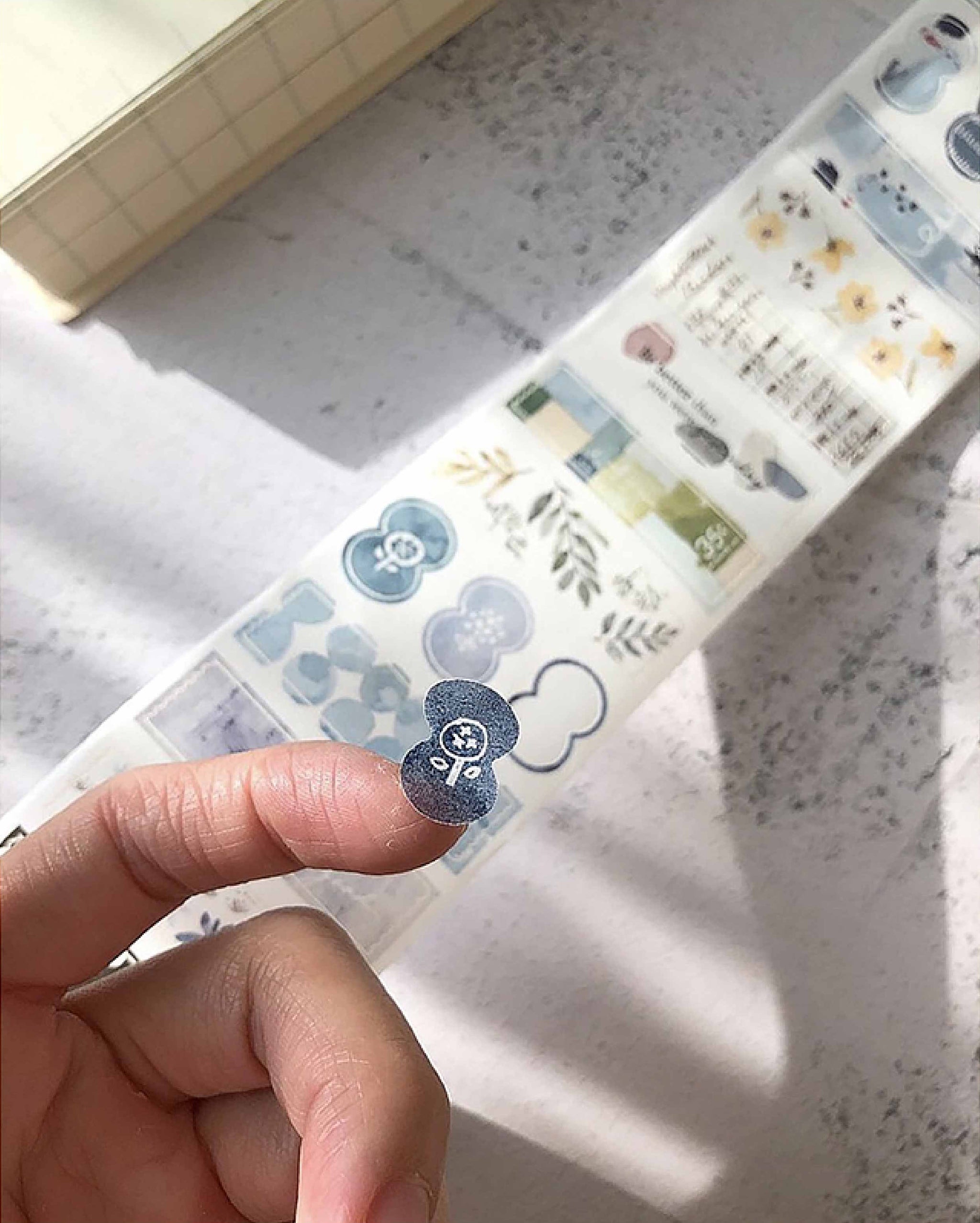 Pion Washi Tape: Strips