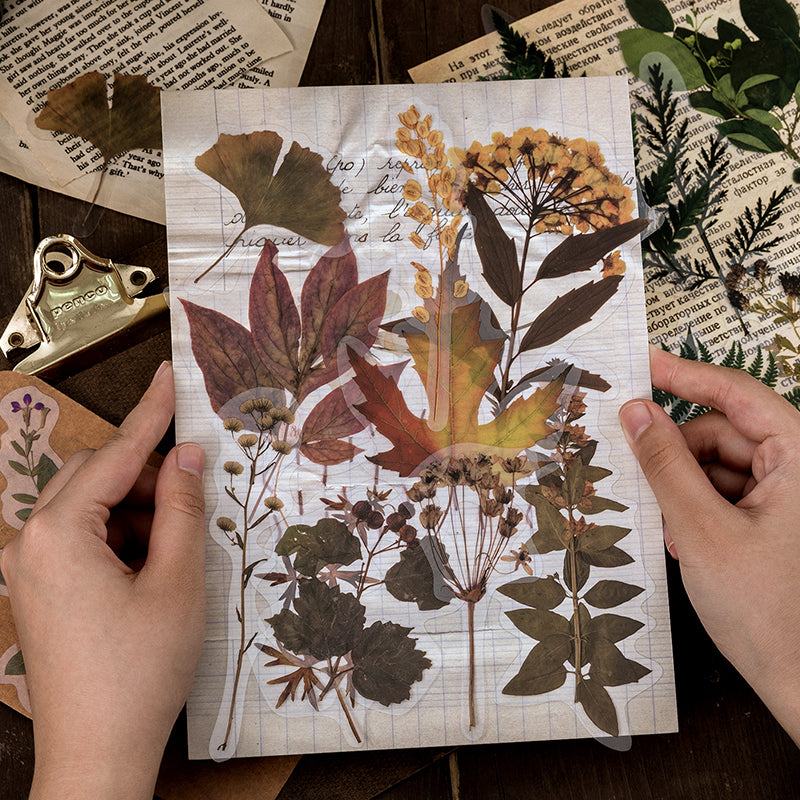 Dried Flowers Clear Stickers Pack