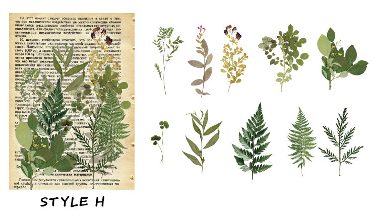 Dried Flowers Clear Stickers Pack