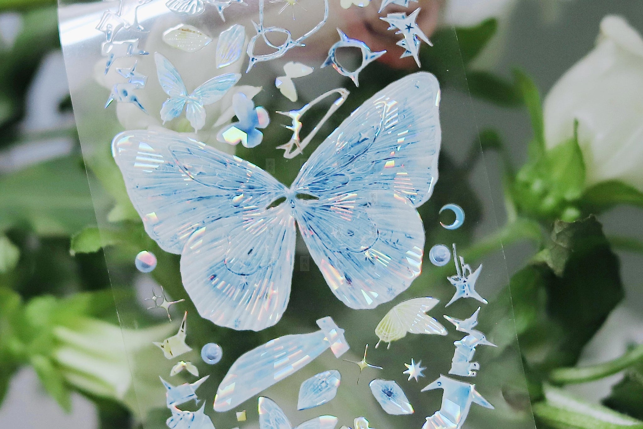 Pure Boyfriend Studio: Star Shine Butterflies Masking Tape