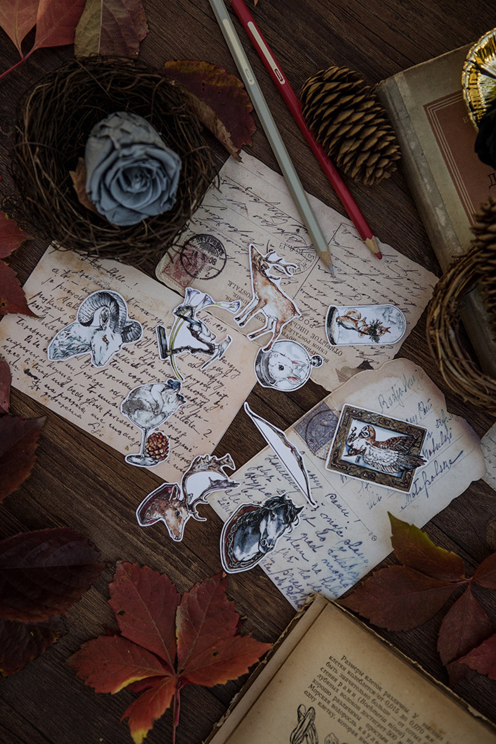 Specimen Collector Stickers Pack: Animals