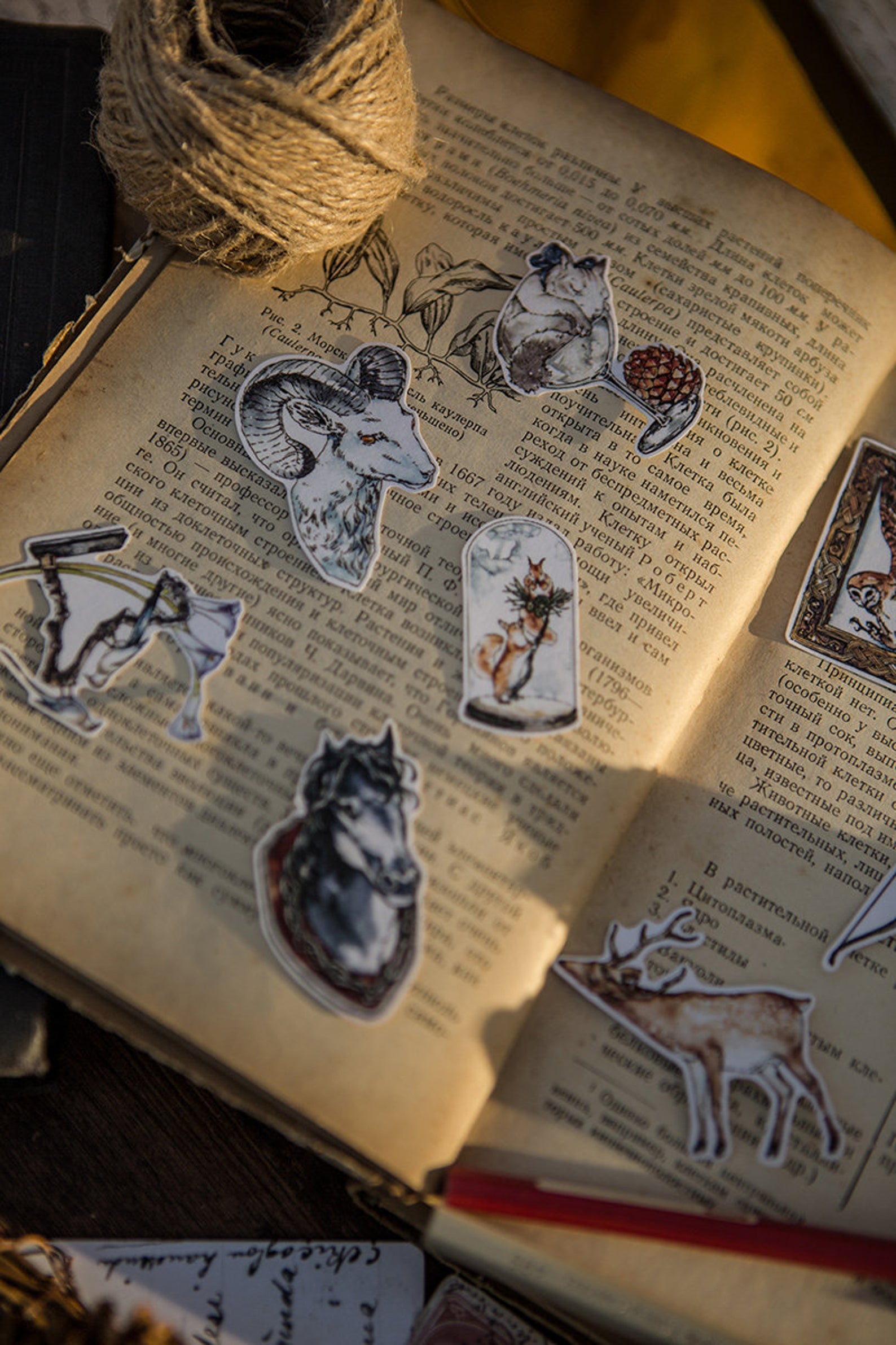 Specimen Collector Stickers Pack: Animals