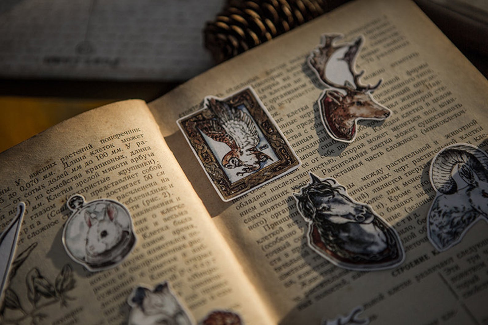 Specimen Collector Stickers Pack: Animals