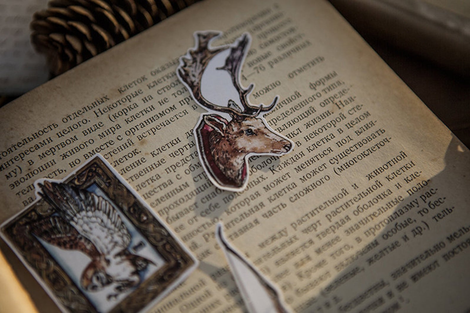 Specimen Collector Stickers Pack: Animals