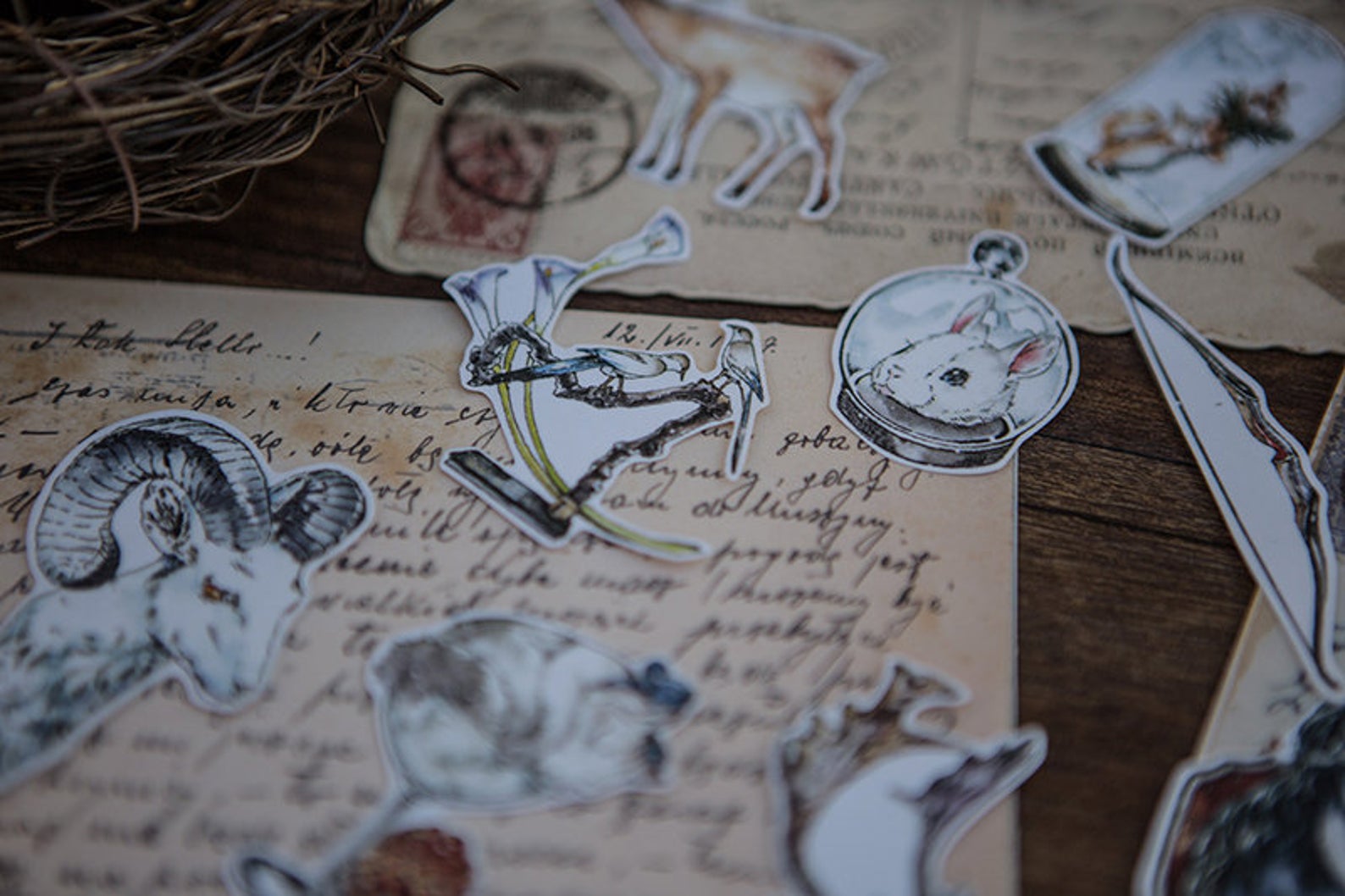 Specimen Collector Stickers Pack: Animals
