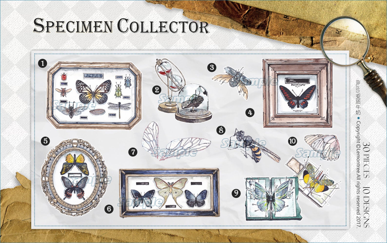 Specimen Collector Stickers Pack: Insects