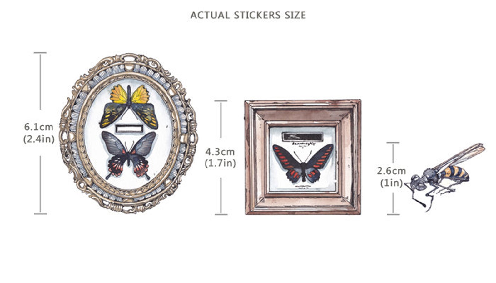 Specimen Collector Stickers Pack: Insects