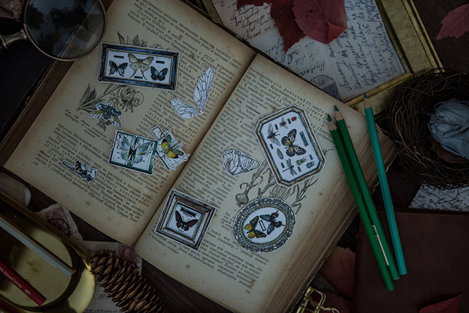 Specimen Collector Stickers Pack: Insects