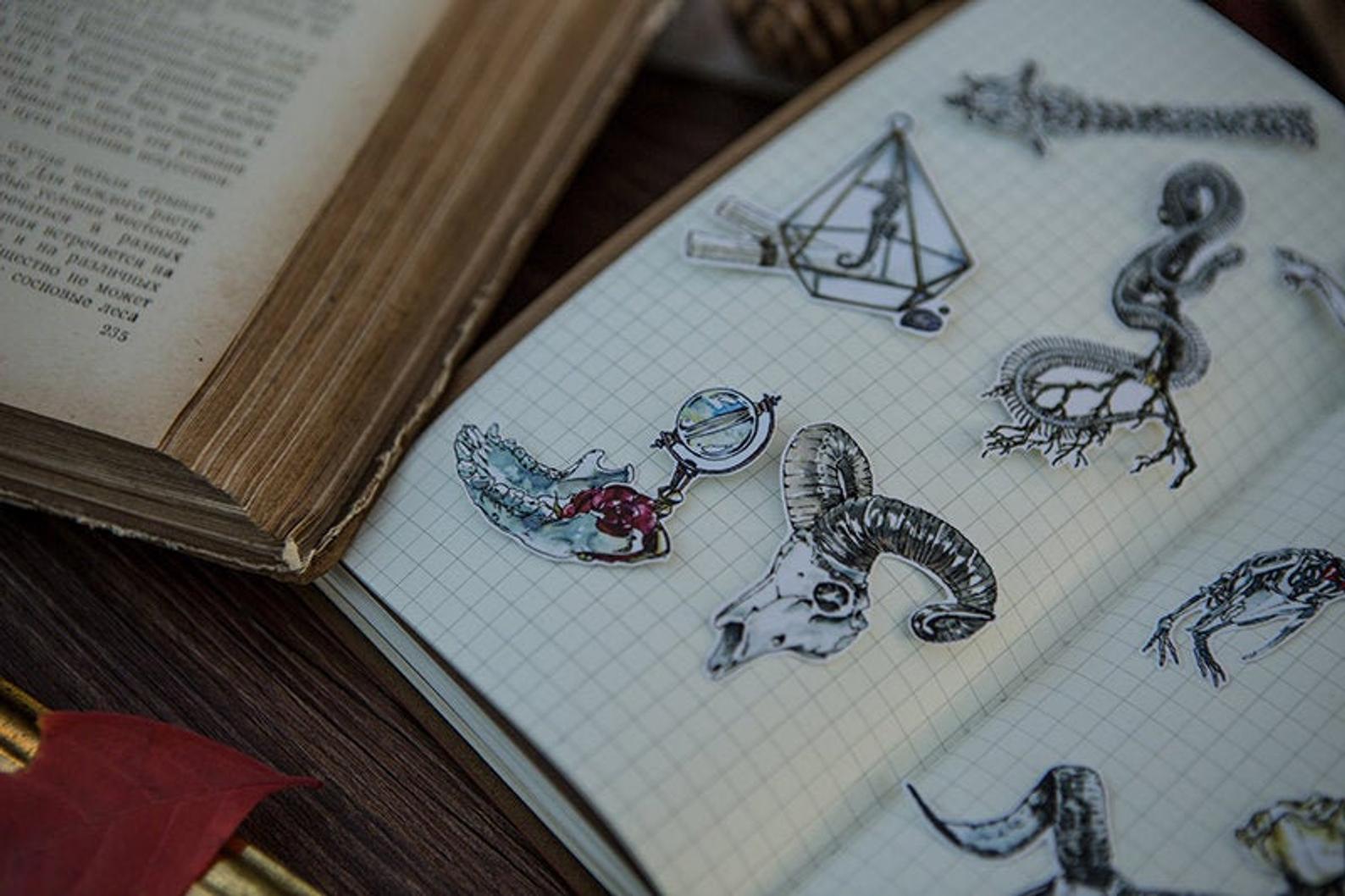 Specimen Collector Stickers Pack: Sketelons