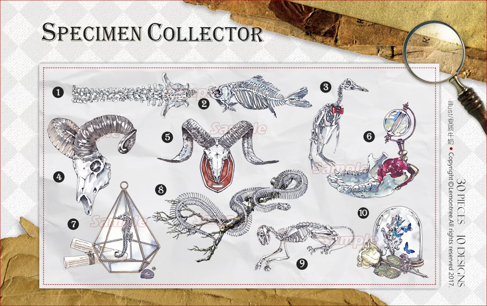 Specimen Collector Stickers Pack: Sketelons