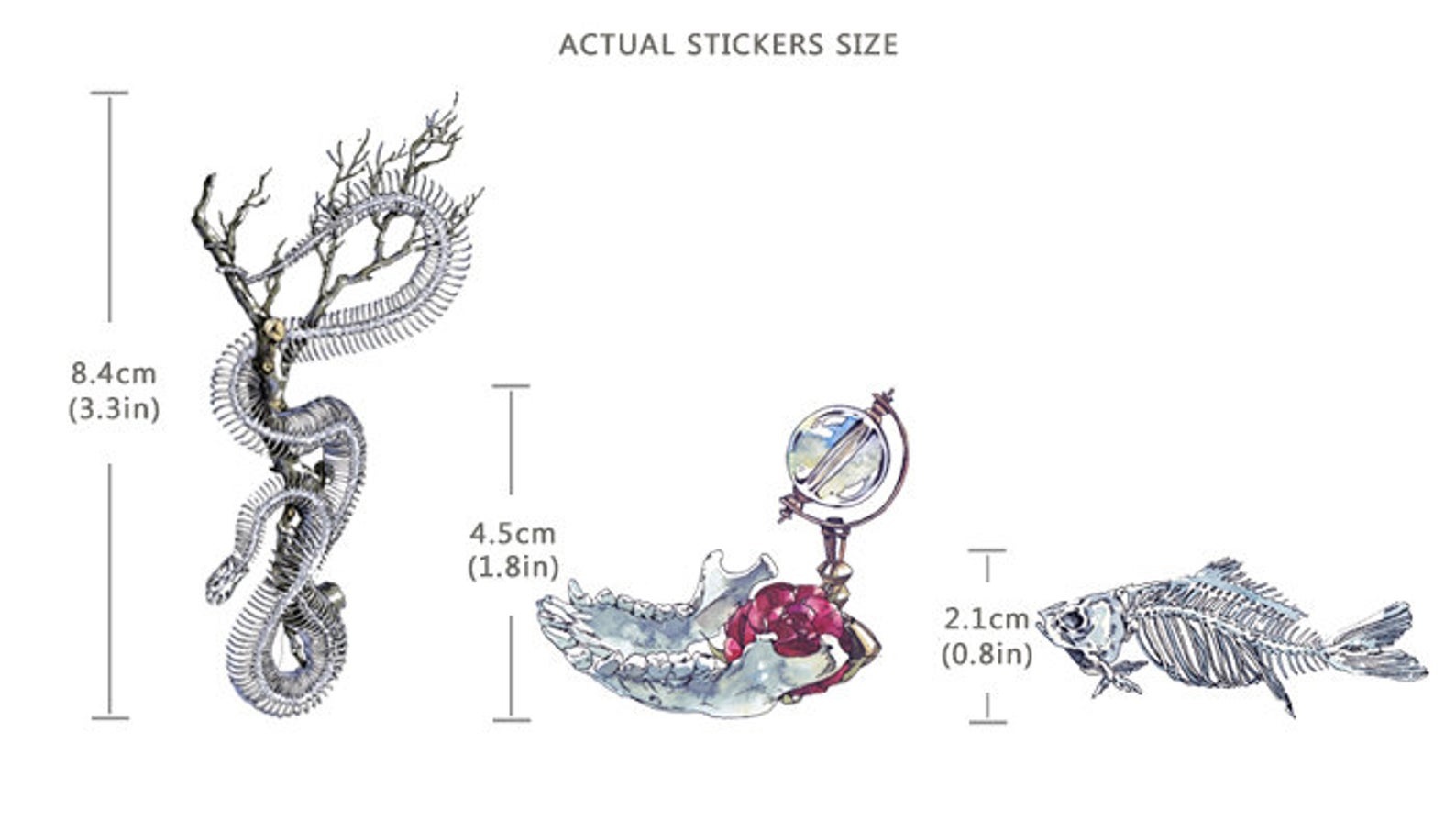 Specimen Collector Stickers Pack: Sketelons