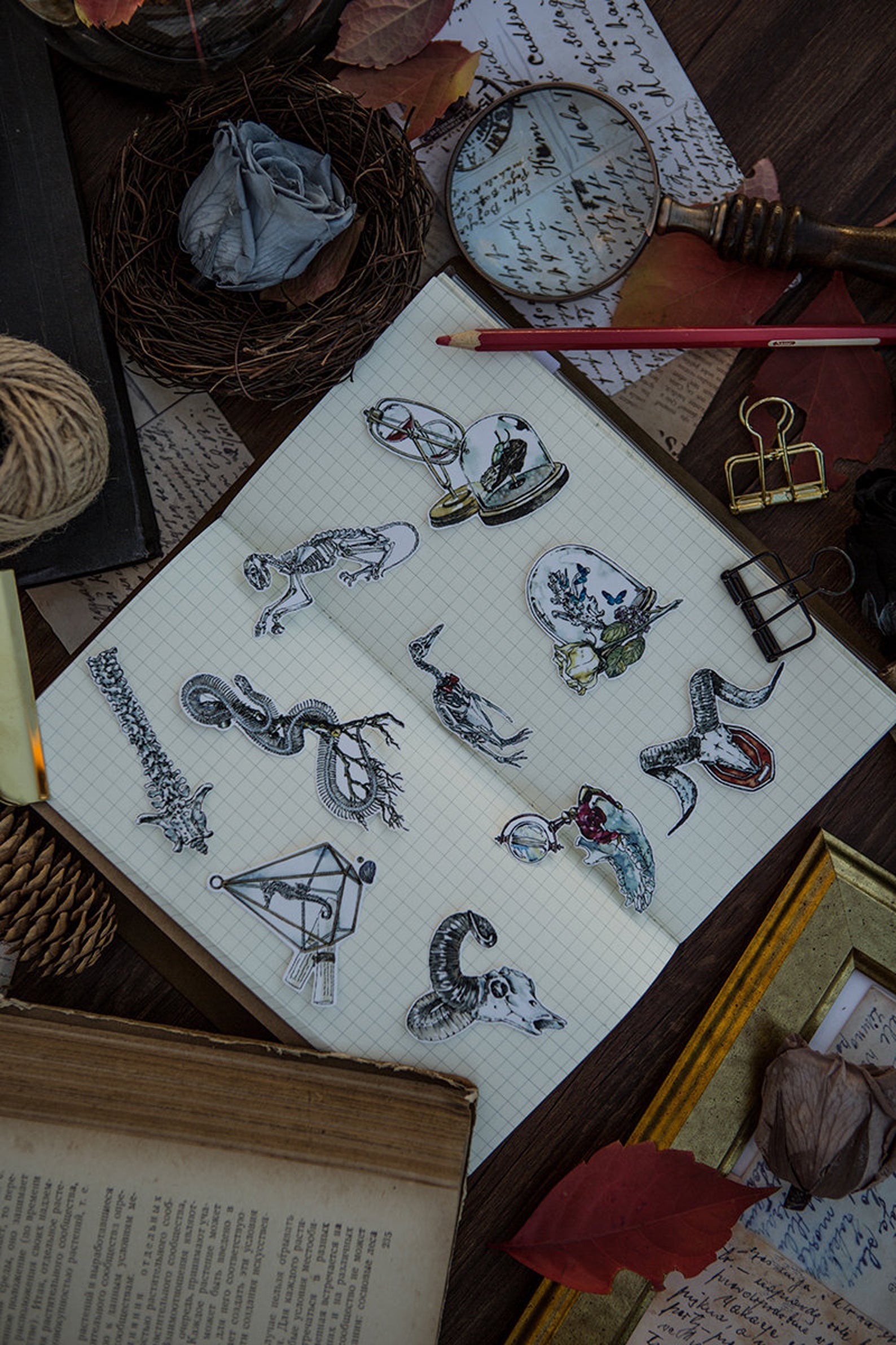 Specimen Collector Stickers Pack: Sketelons