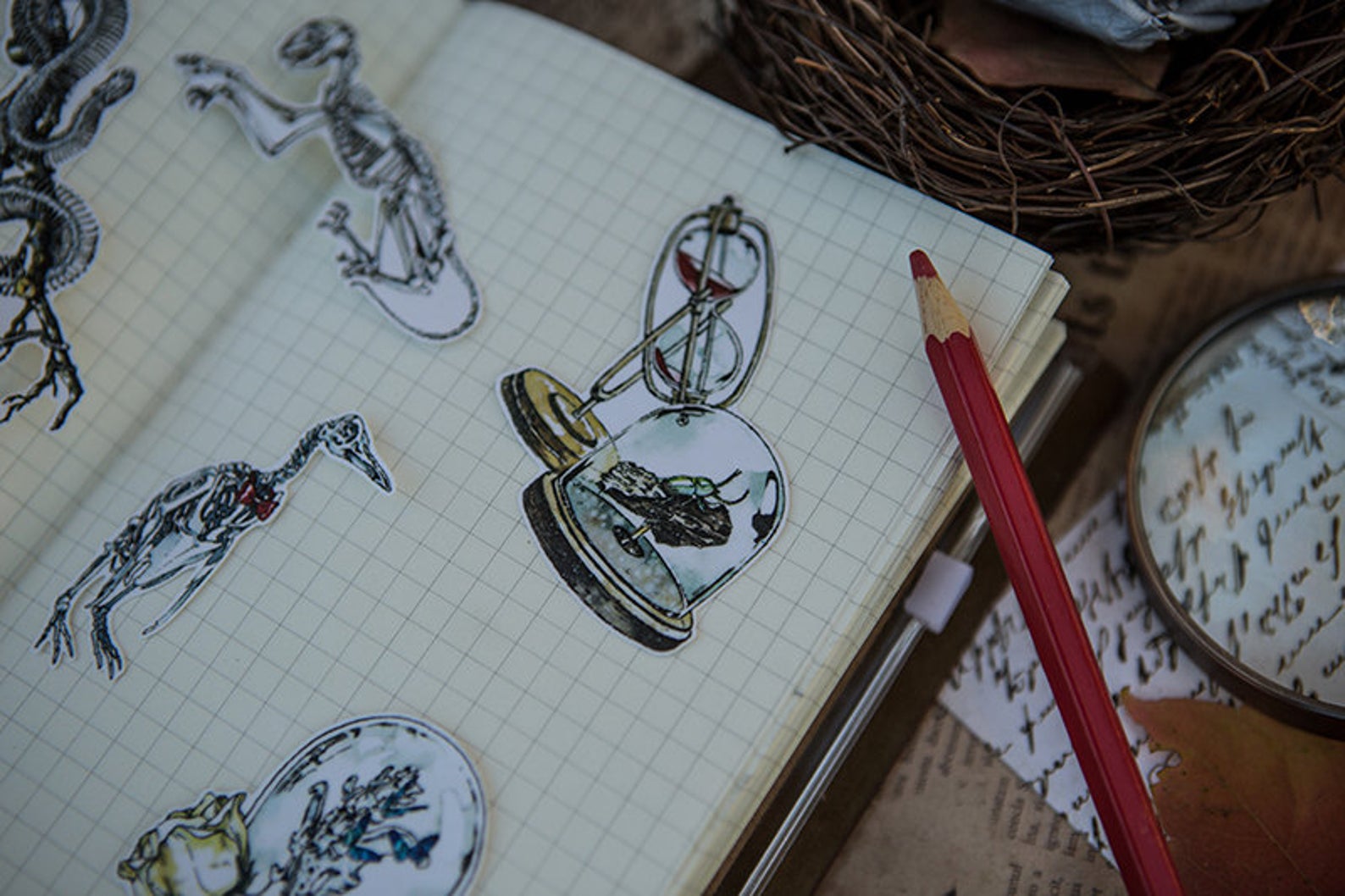 Specimen Collector Stickers Pack: Sketelons