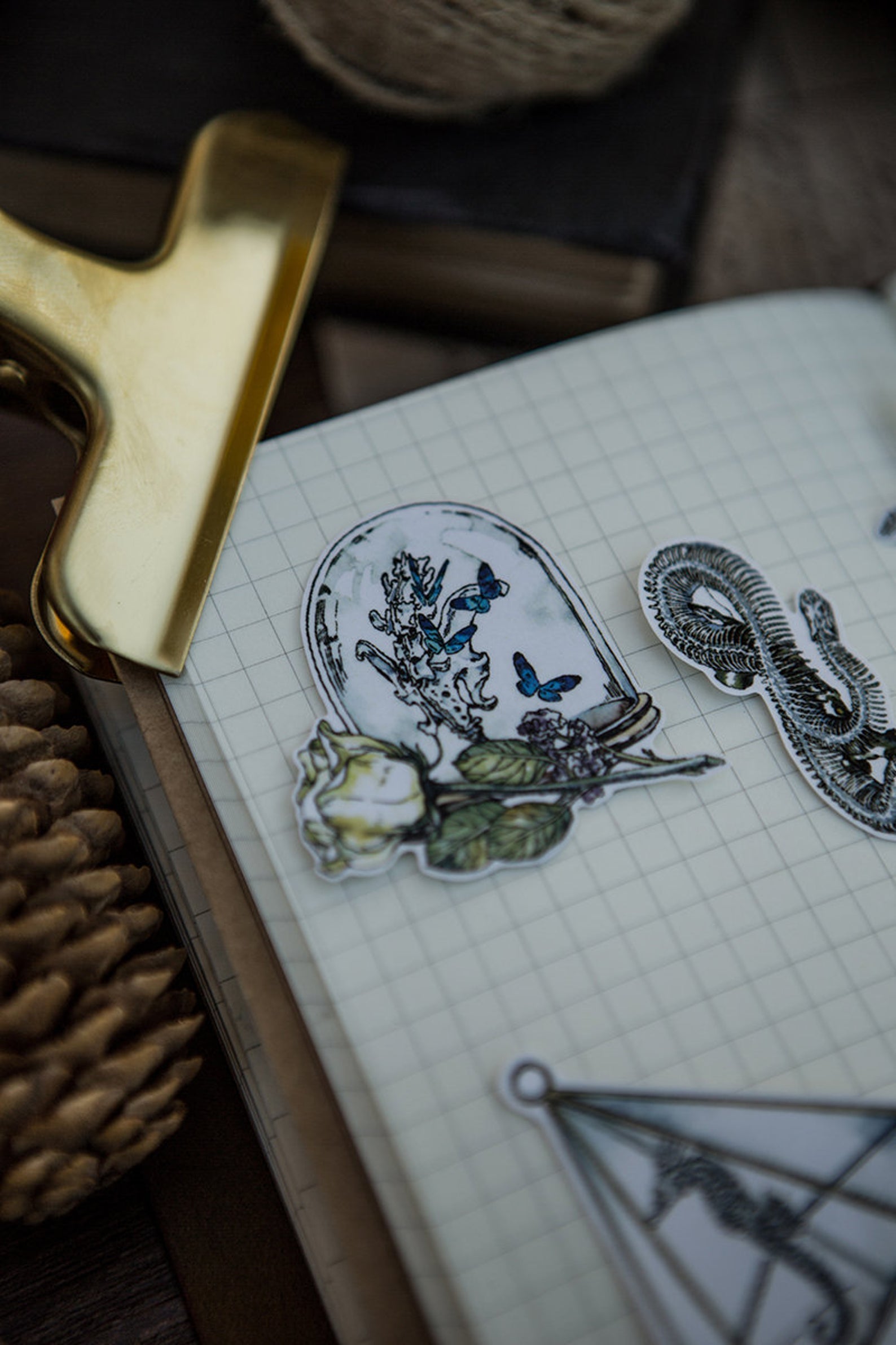 Specimen Collector Stickers Pack: Sketelons