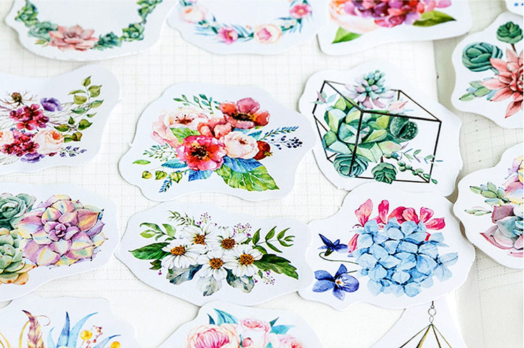 Succulents Box Sticker Set