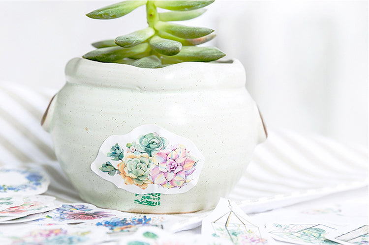 Succulents Box Sticker Set