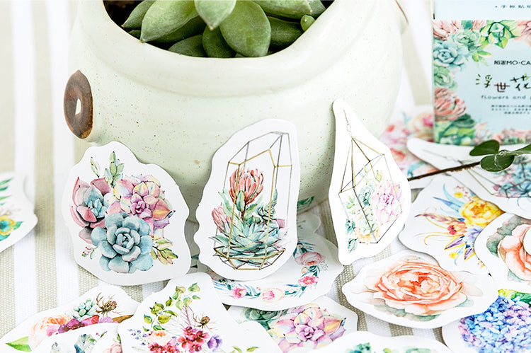 Succulents Box Sticker Set