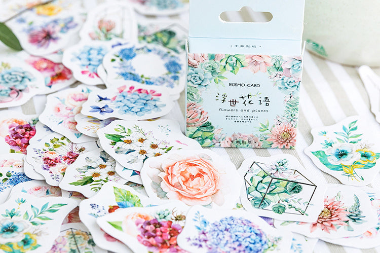 Succulents Box Sticker Set