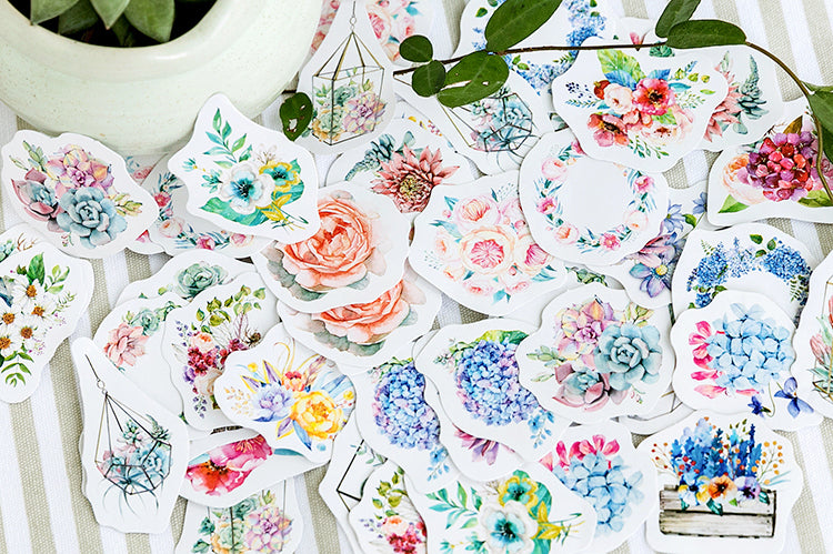 Succulents Box Sticker Set