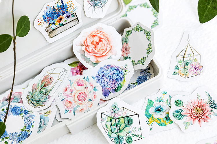 Succulents Box Sticker Set