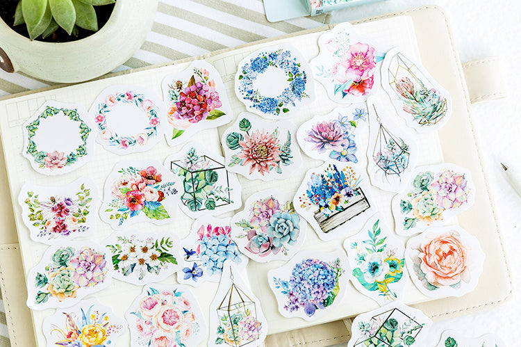 Succulents Box Sticker Set