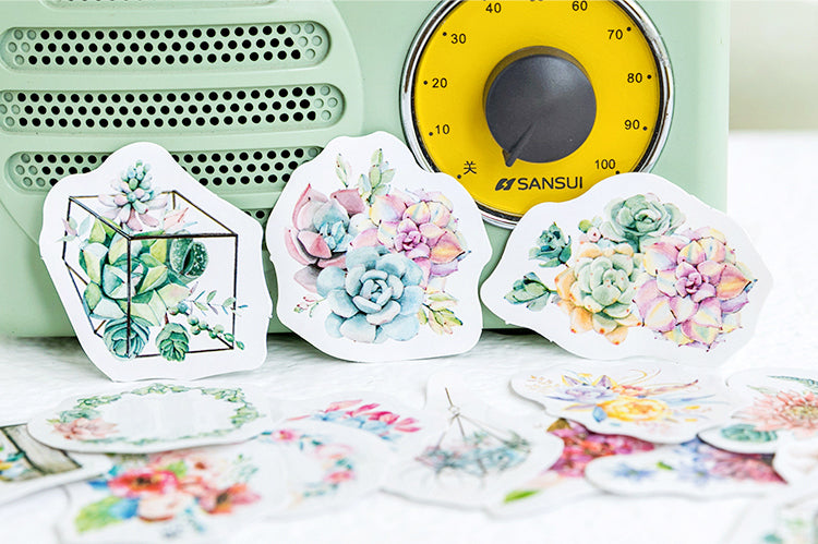 Succulents Box Sticker Set