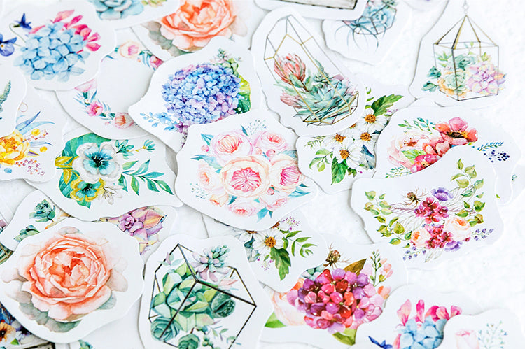 Succulents Box Sticker Set