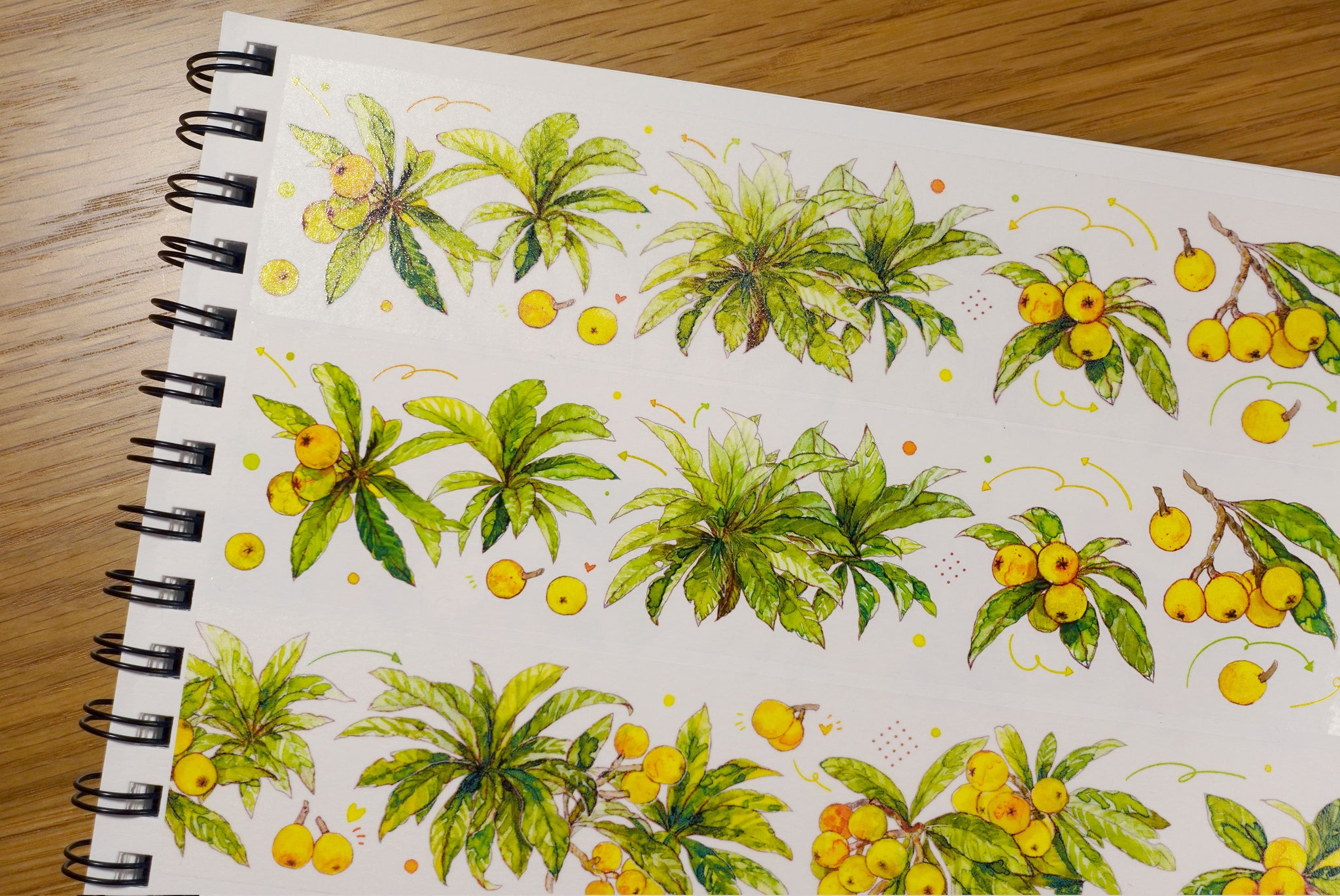 TIBR Masking Tape: Loquat