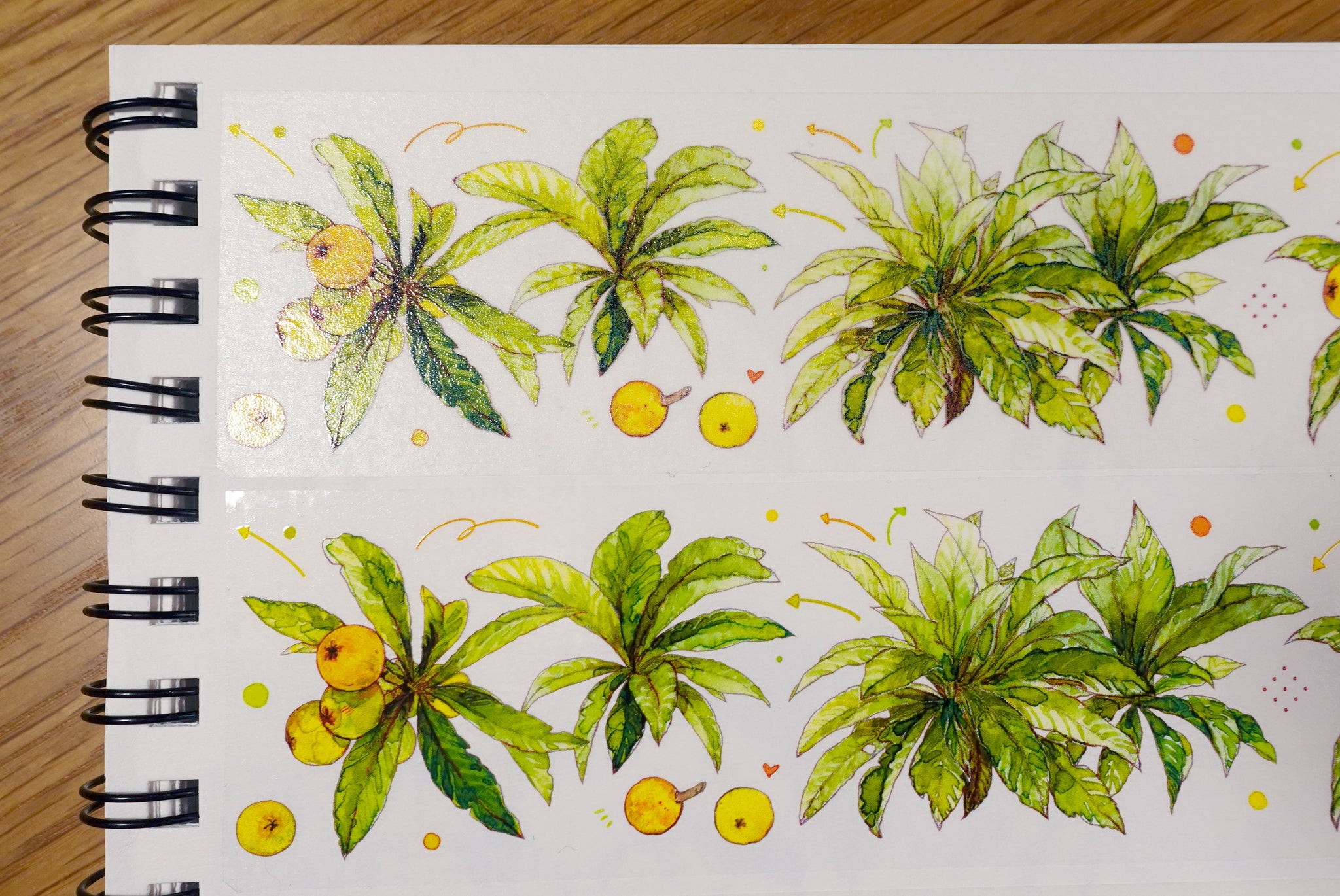 TIBR Masking Tape: Loquat