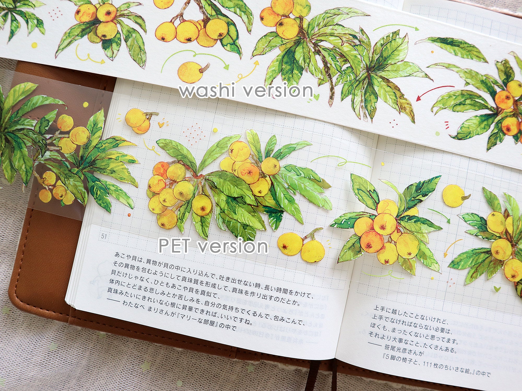 TIBR Masking Tape: Loquat
