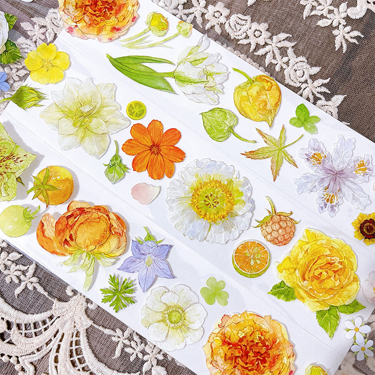 TIBR Masking Tape: Orange