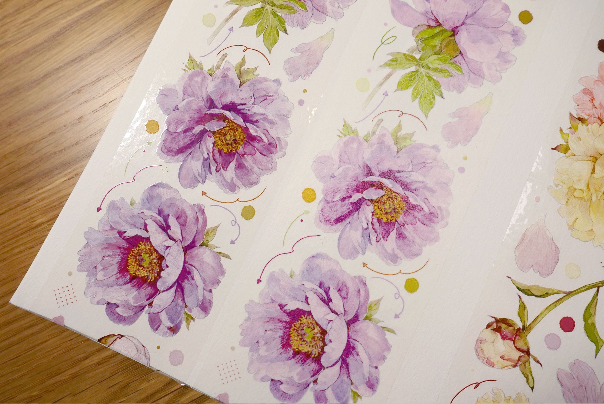 TIBR Masking Tape: Peony