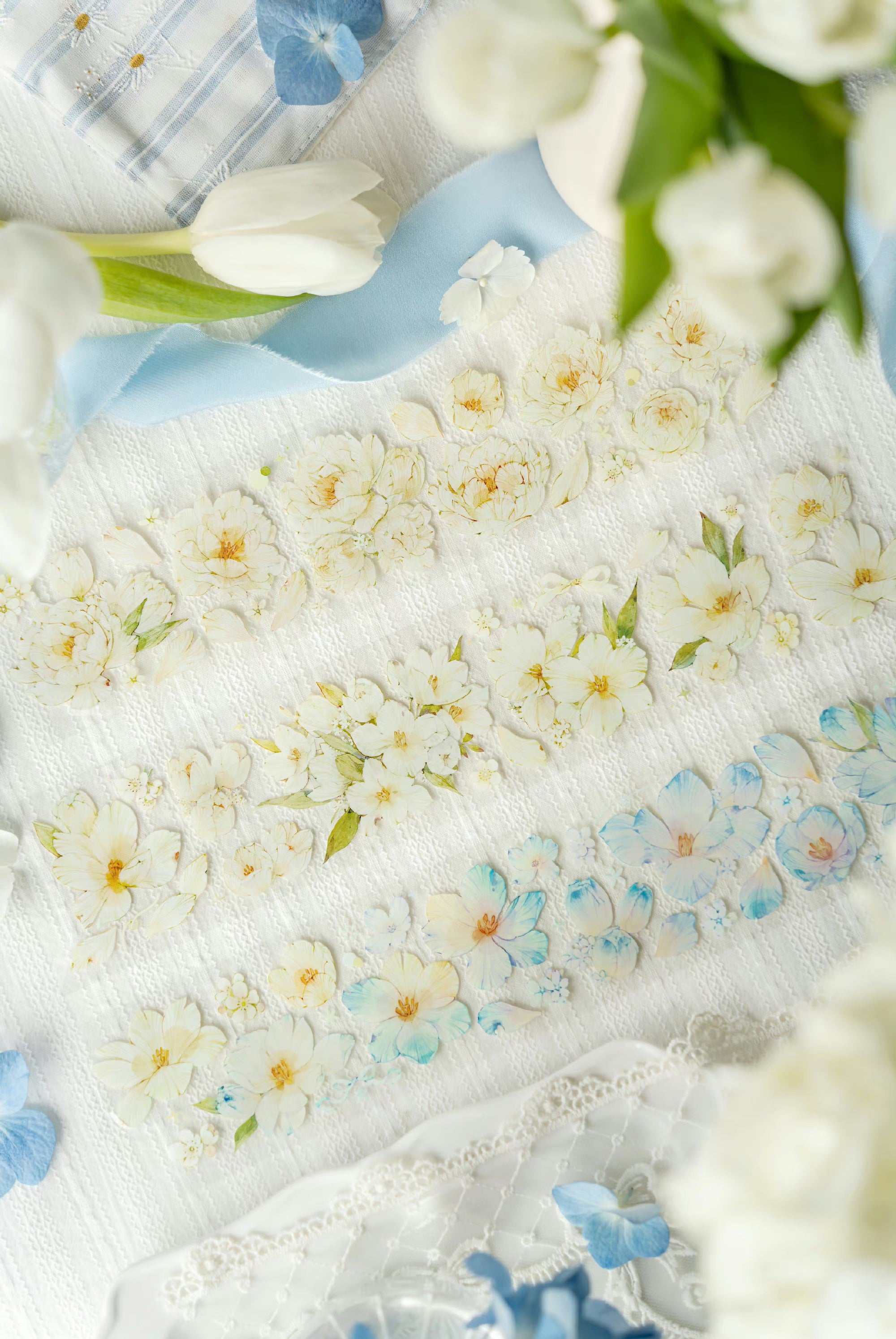 The Universe of End Masking Tape: Peony