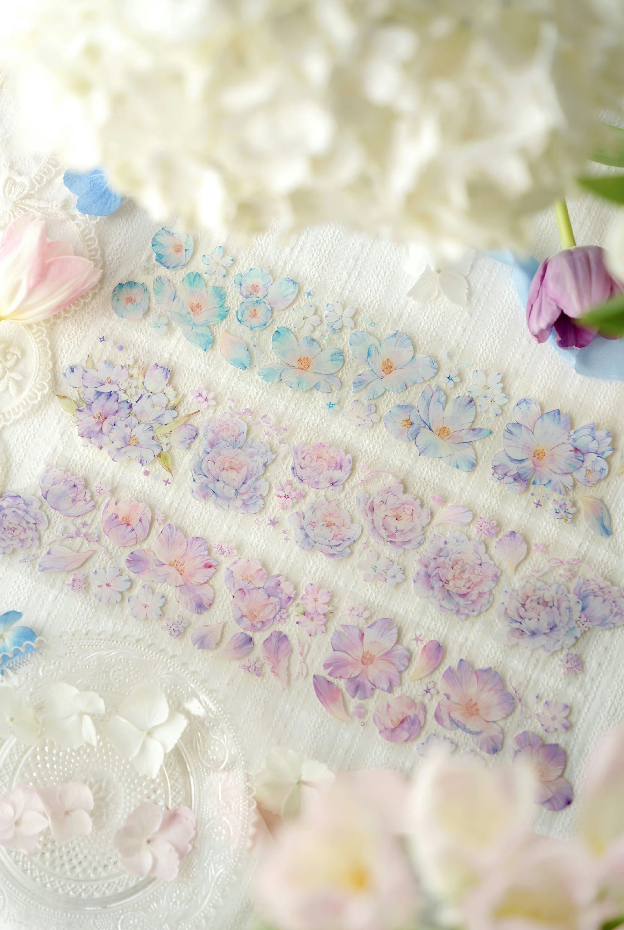 The Universe of End Masking Tape: Peony