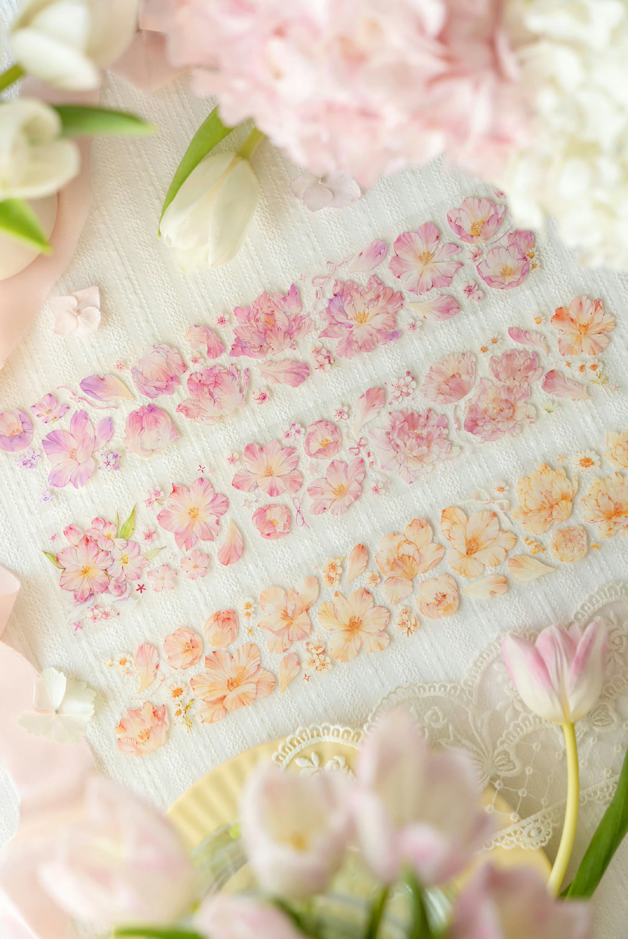 The Universe of End Masking Tape: Peony