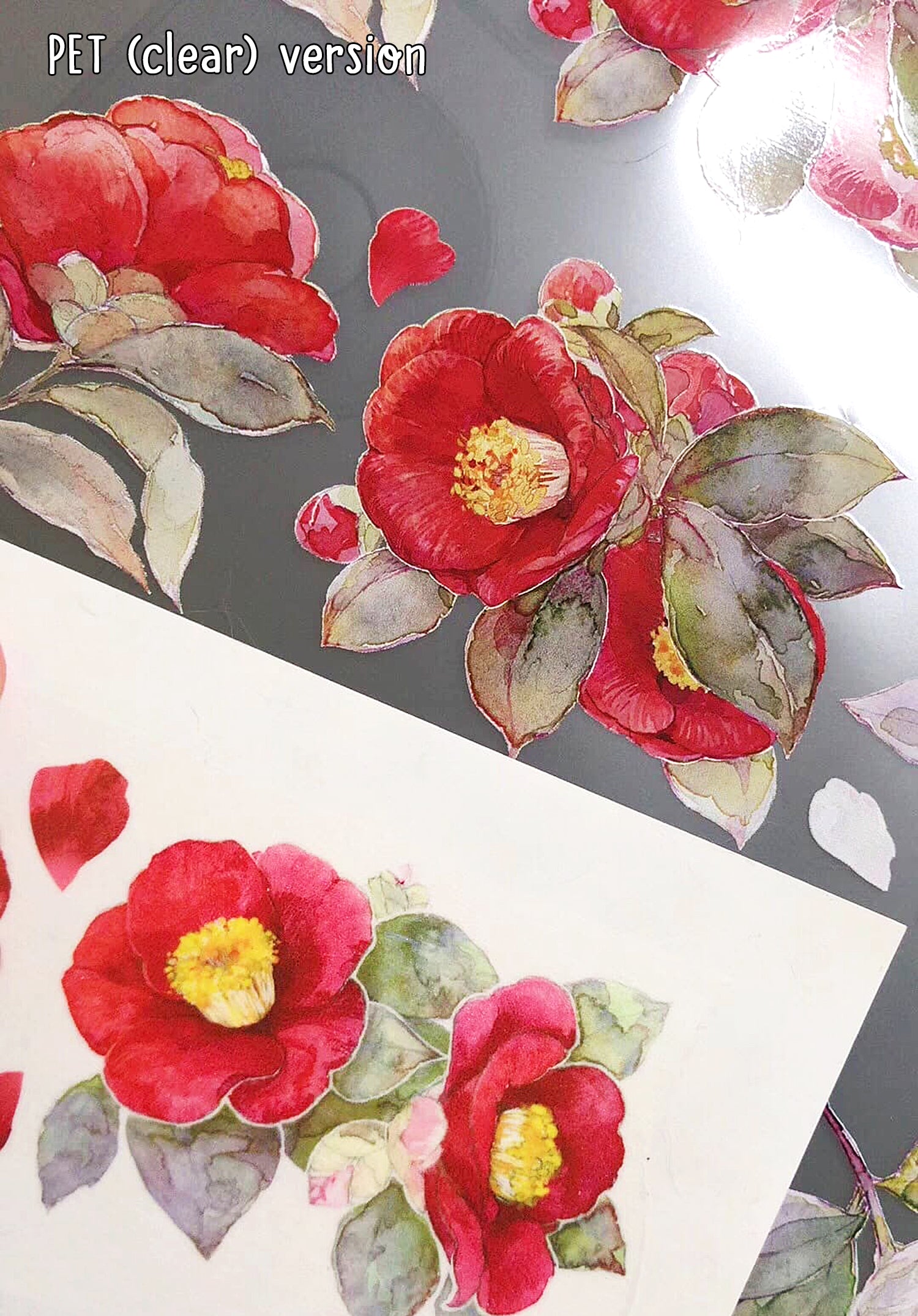 TIBR Washi Tape: Camellia