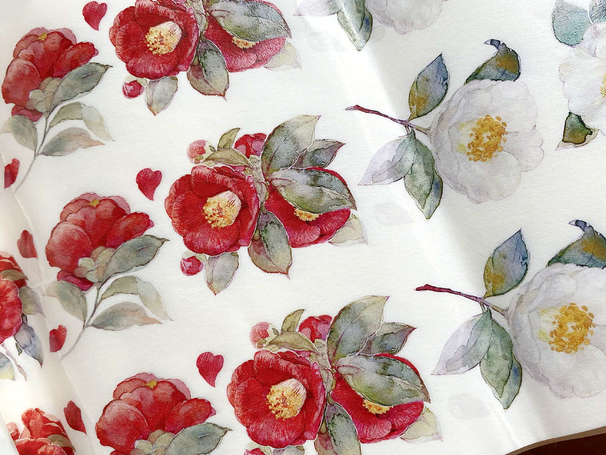 TIBR Washi Tape: Camellia