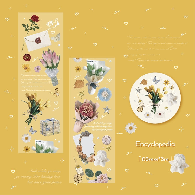 Treasure Chest Series Clear Tape