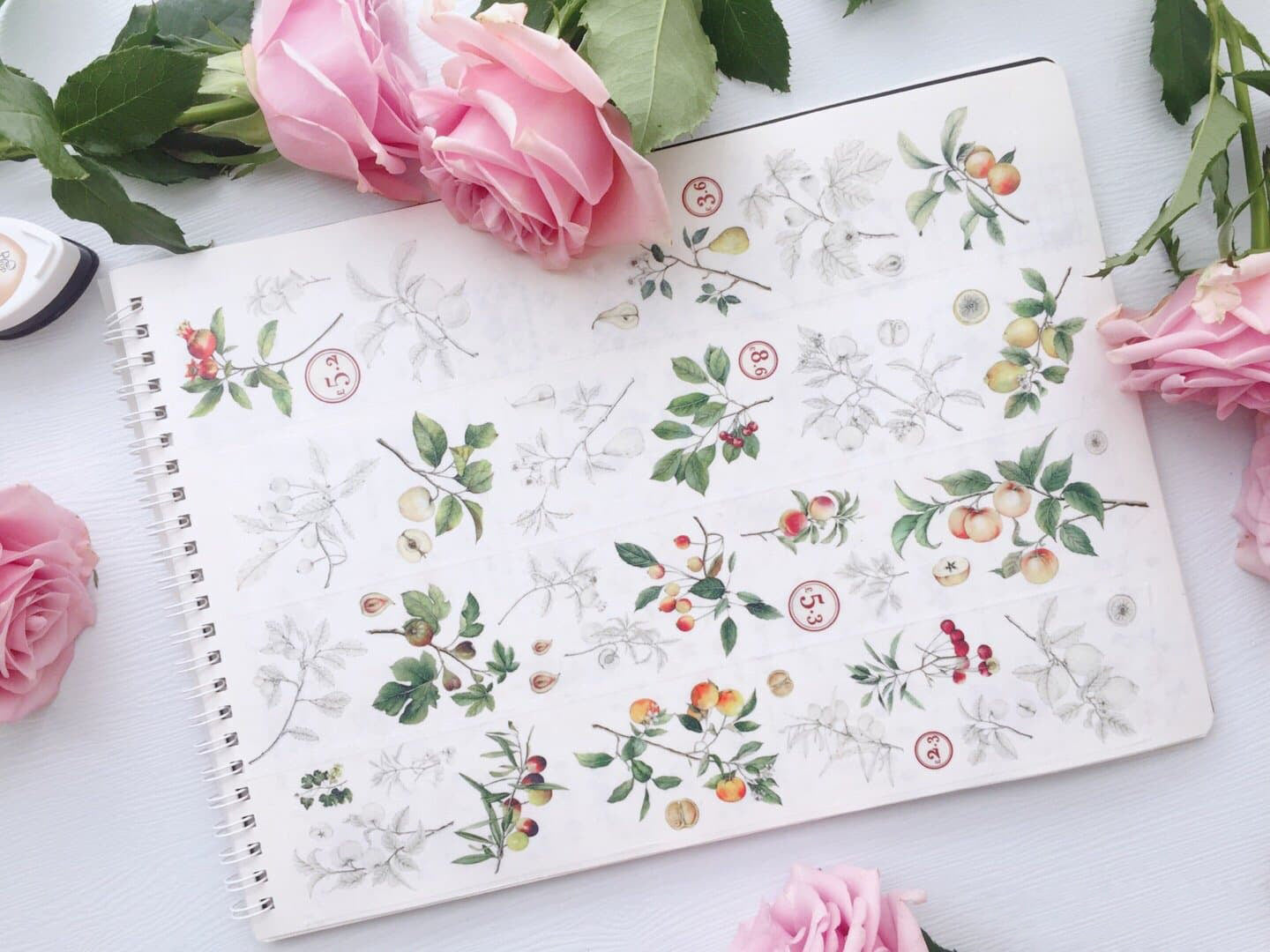Vintage Flower Specimen Washi Tape