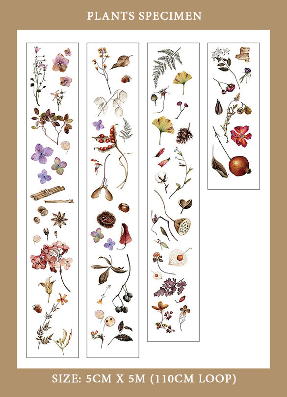 Vintage Flower Specimen Washi Tape