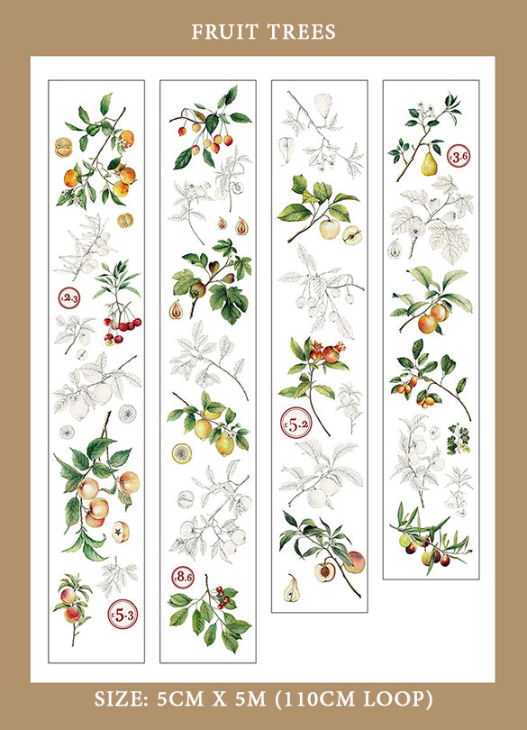 Vintage Flower Specimen Washi Tape