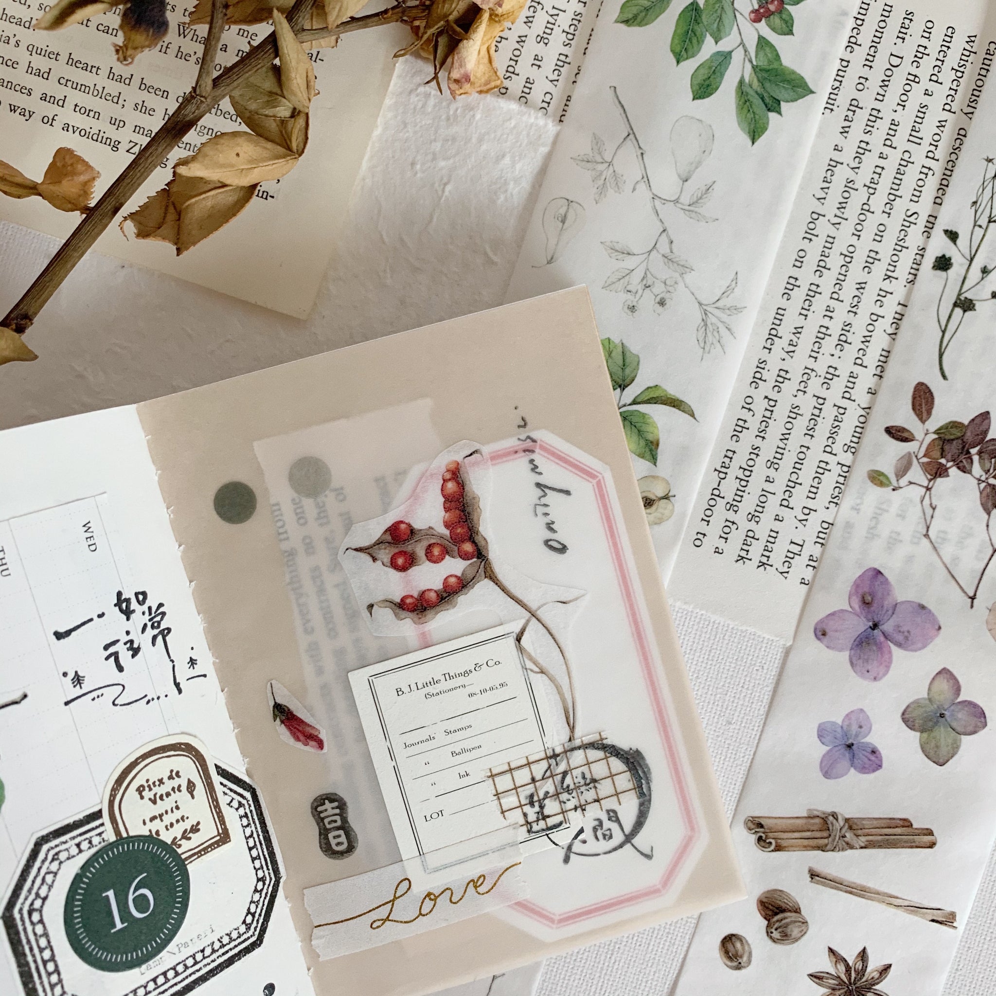 Vintage Flower Specimen Washi Tape