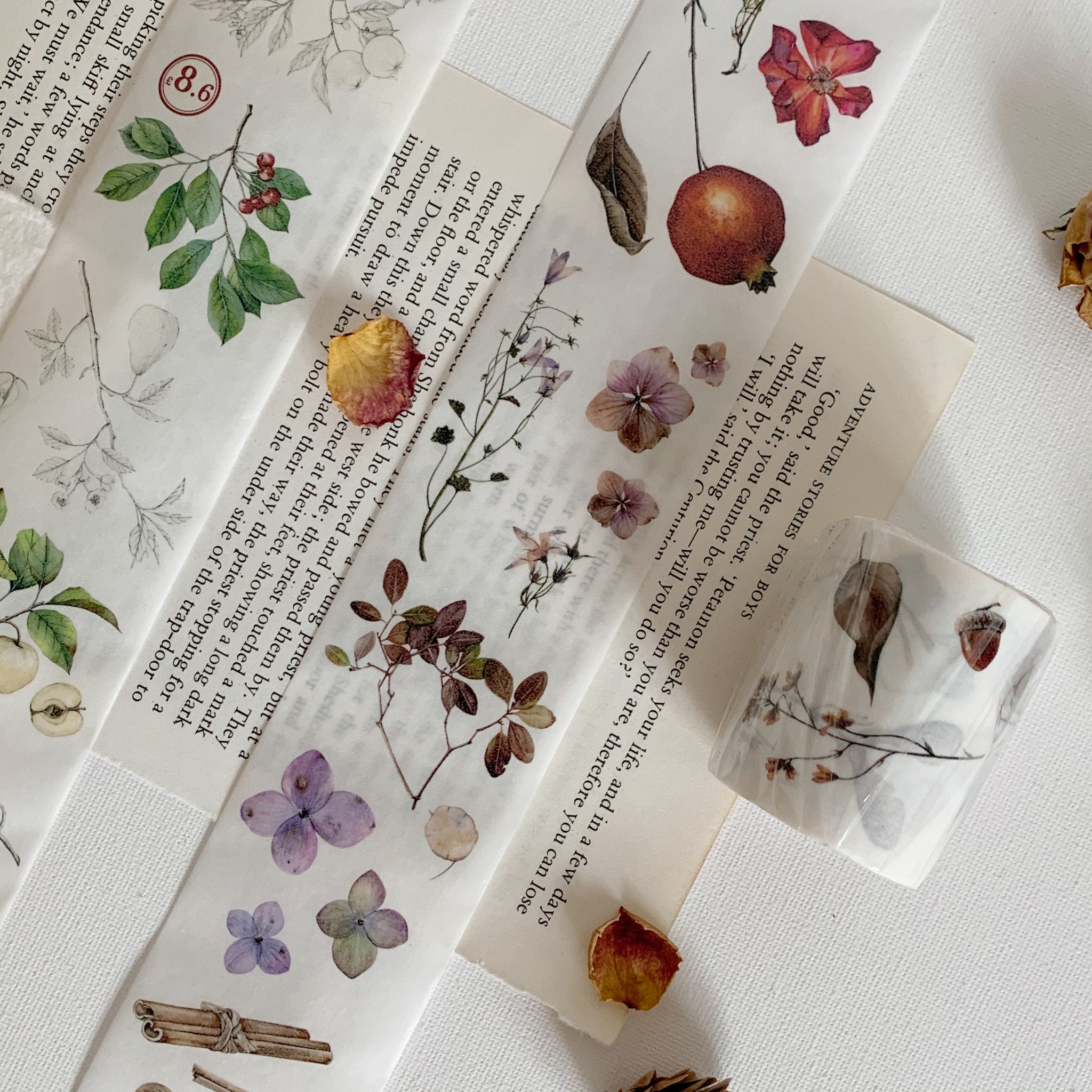 Vintage Flower Specimen Washi Tape