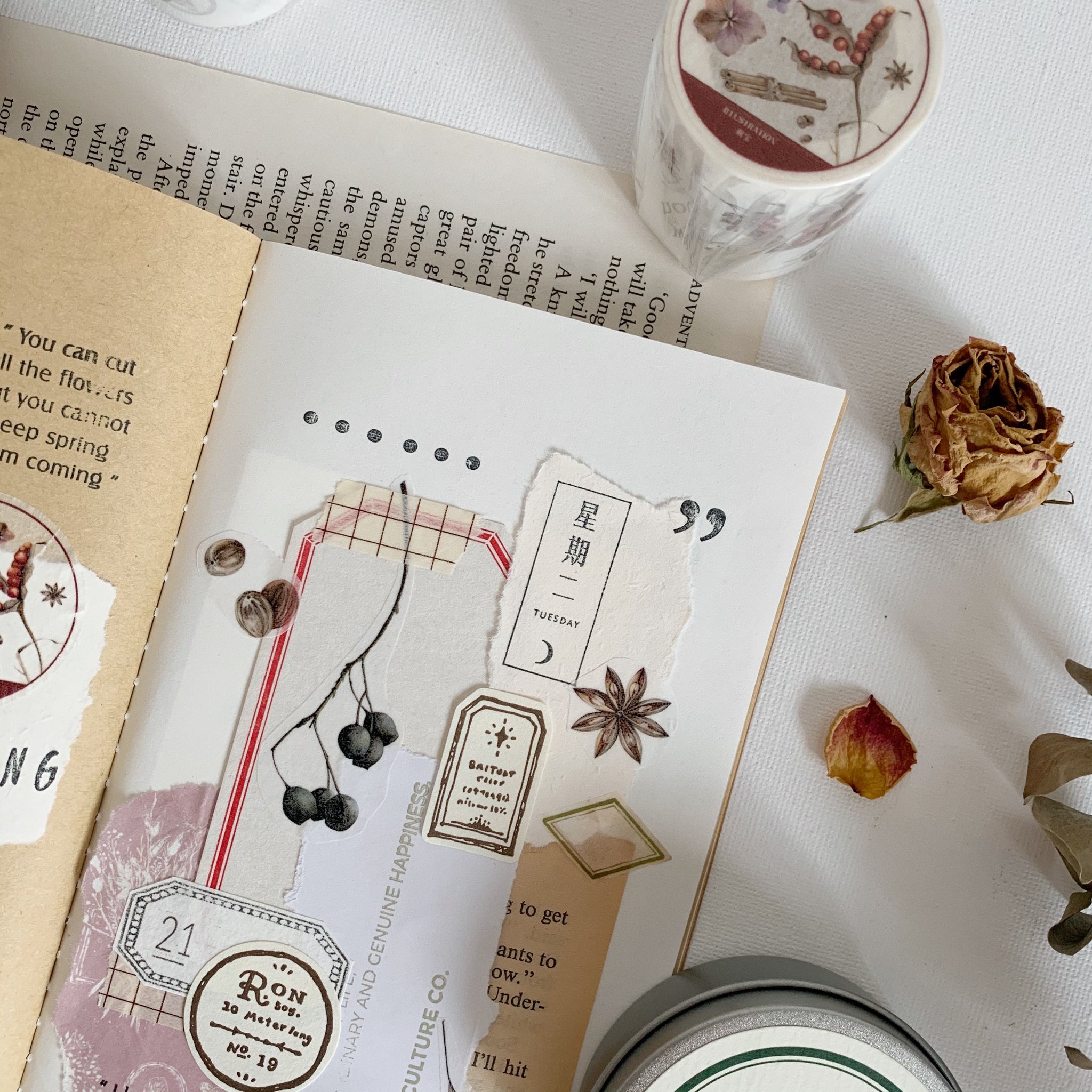 Vintage Flower Specimen Washi Tape