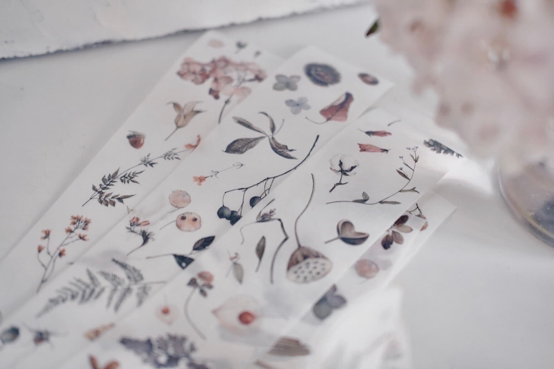 Vintage Flower Specimen Washi Tape