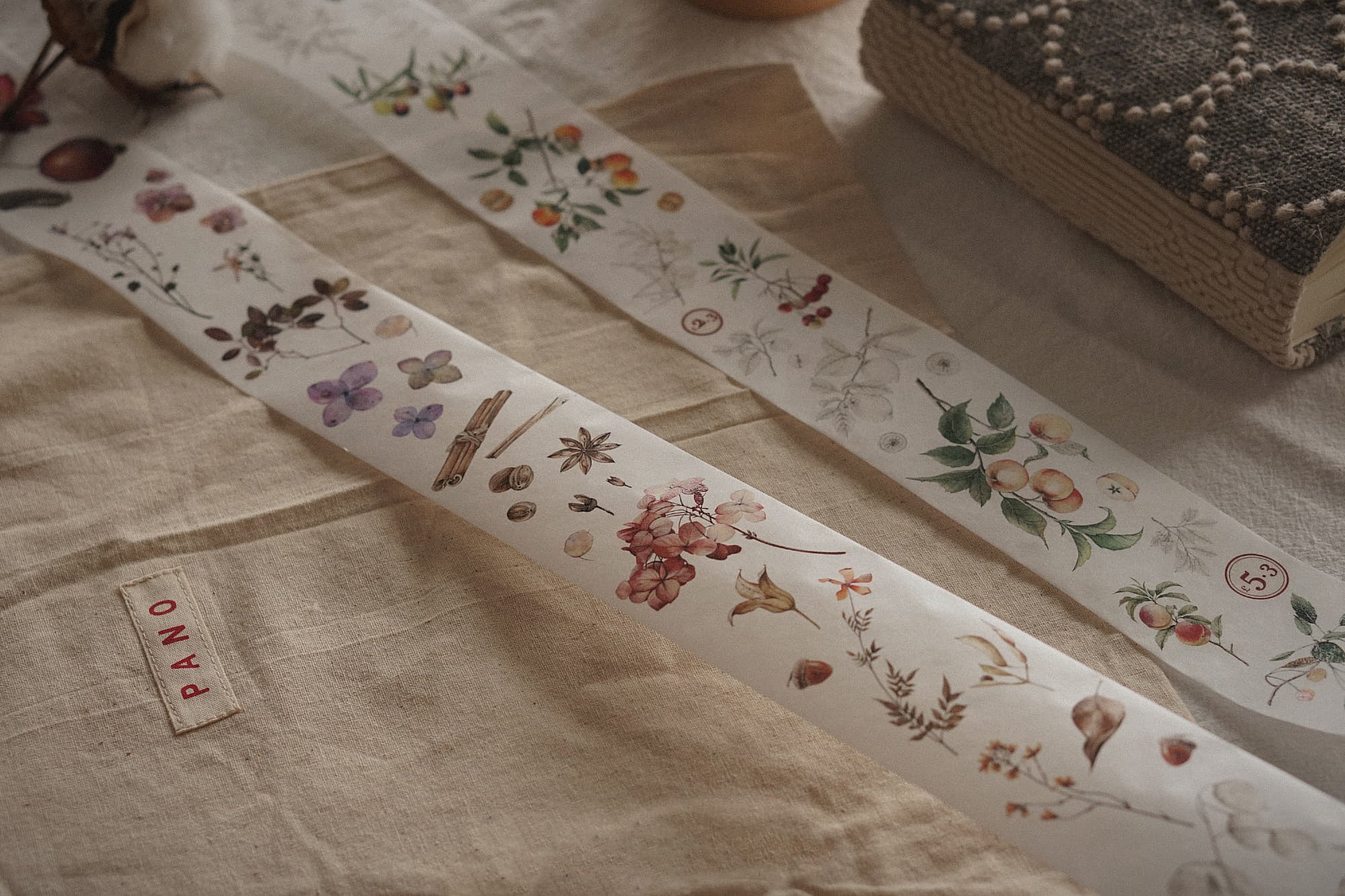 Vintage Flower Specimen Washi Tape