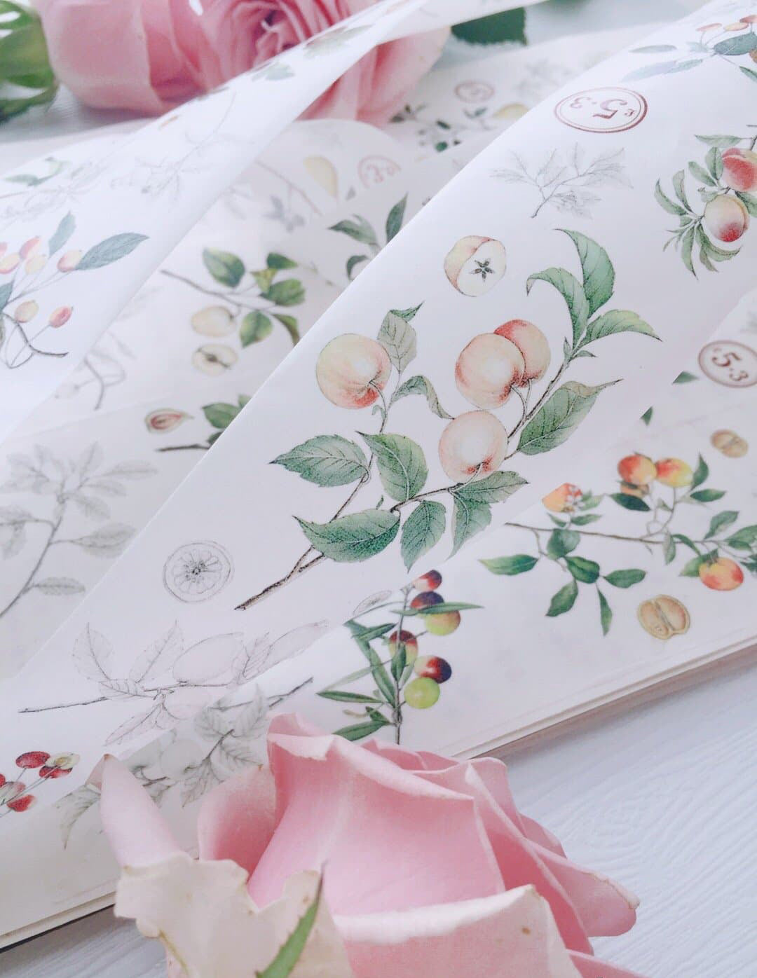 Vintage Flower Specimen Washi Tape