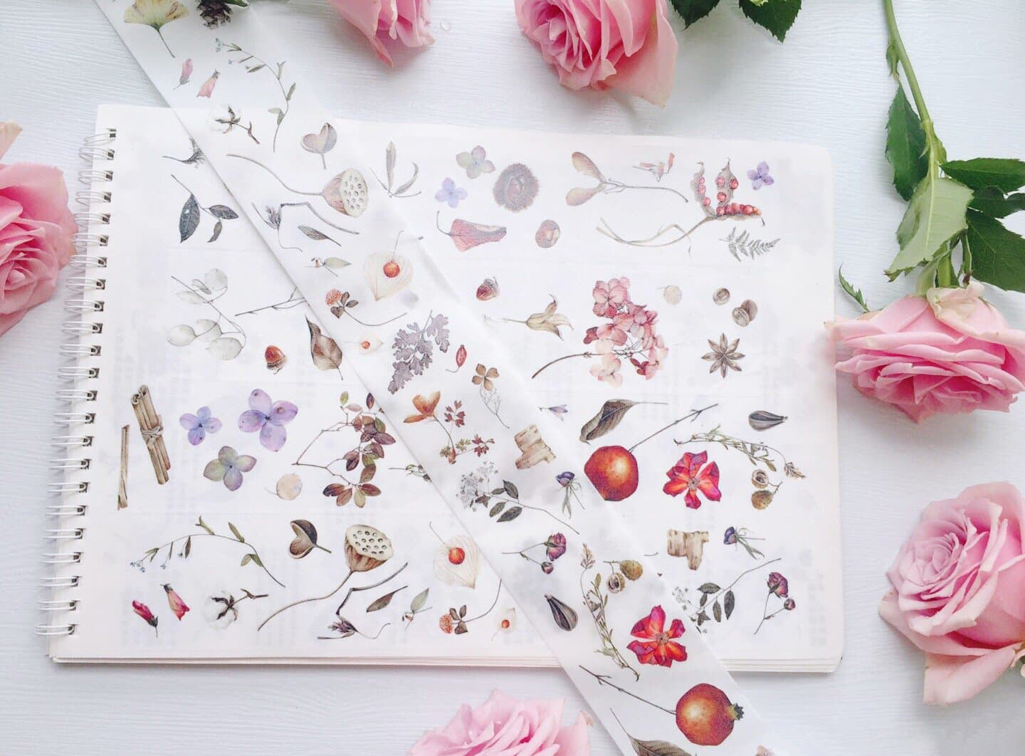 Vintage Flower Specimen Washi Tape