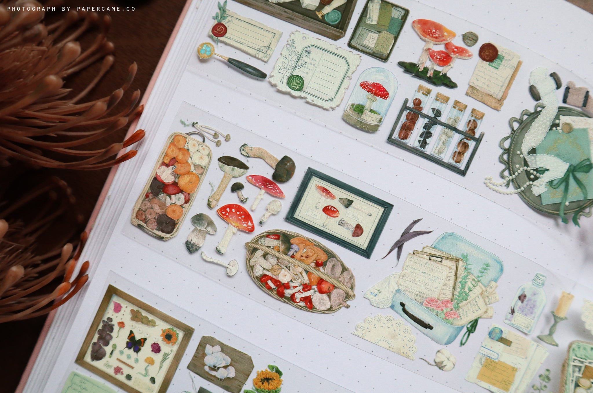 Warm Studio Masking Tape: My Collection